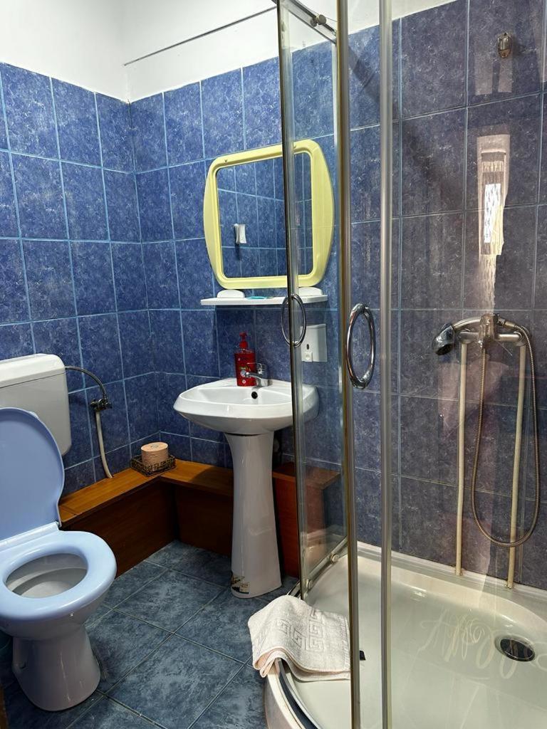 Dusesti Pensiunea Daiadela מראה חיצוני תמונה